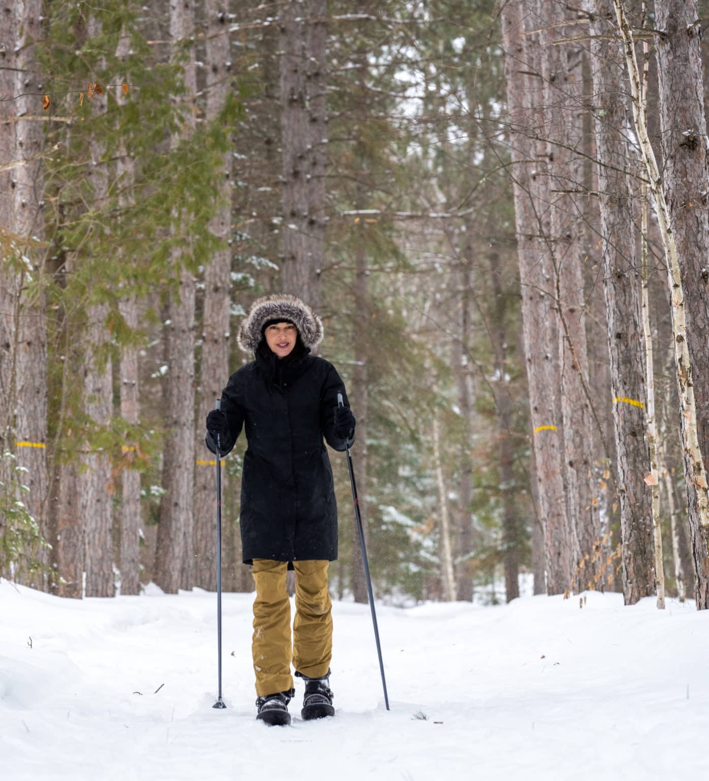 Best Snowshoeing Trails in MN Visit Grand Rapids