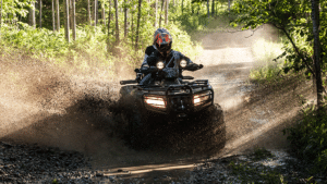 AYV trails Grand Rapids