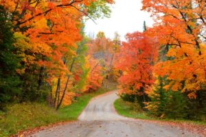 Megan Major 3 1 1 1024x683 1