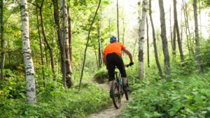 Spring Biking Trails