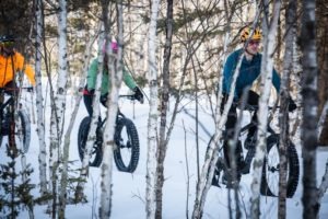 Tioga Recreation Area 1 1