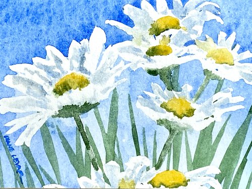 Watercolor in Grand Rapids, MN