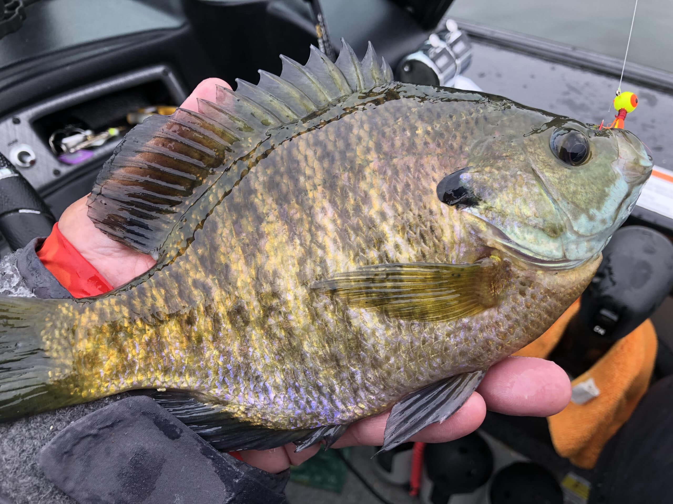 24) 2" SLAB HUNTER " Nat Green" GRUBS JIGS CRAPPIE - Foto 4