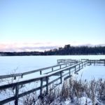 11 Forest Lake Winter Dec 2021