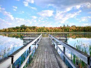 Forest Lake Dock Fall Picture Sept 2021