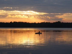 IMG 1904WP