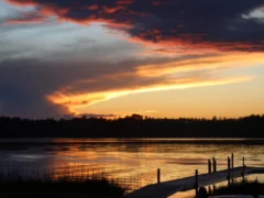 IMG 2848 2WP