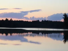 IMG 2861WP