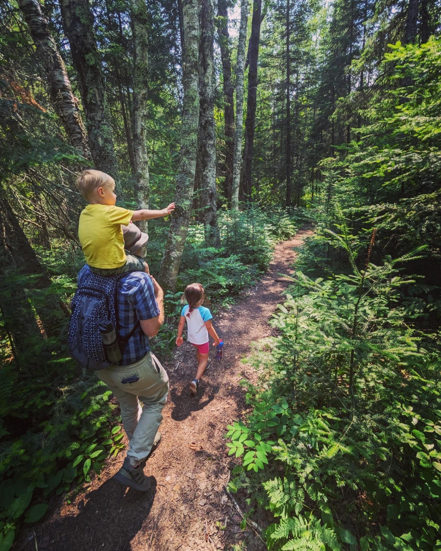 hike the lost forty in the chippewa national forest