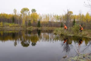 grouse hunting in the grand rapids