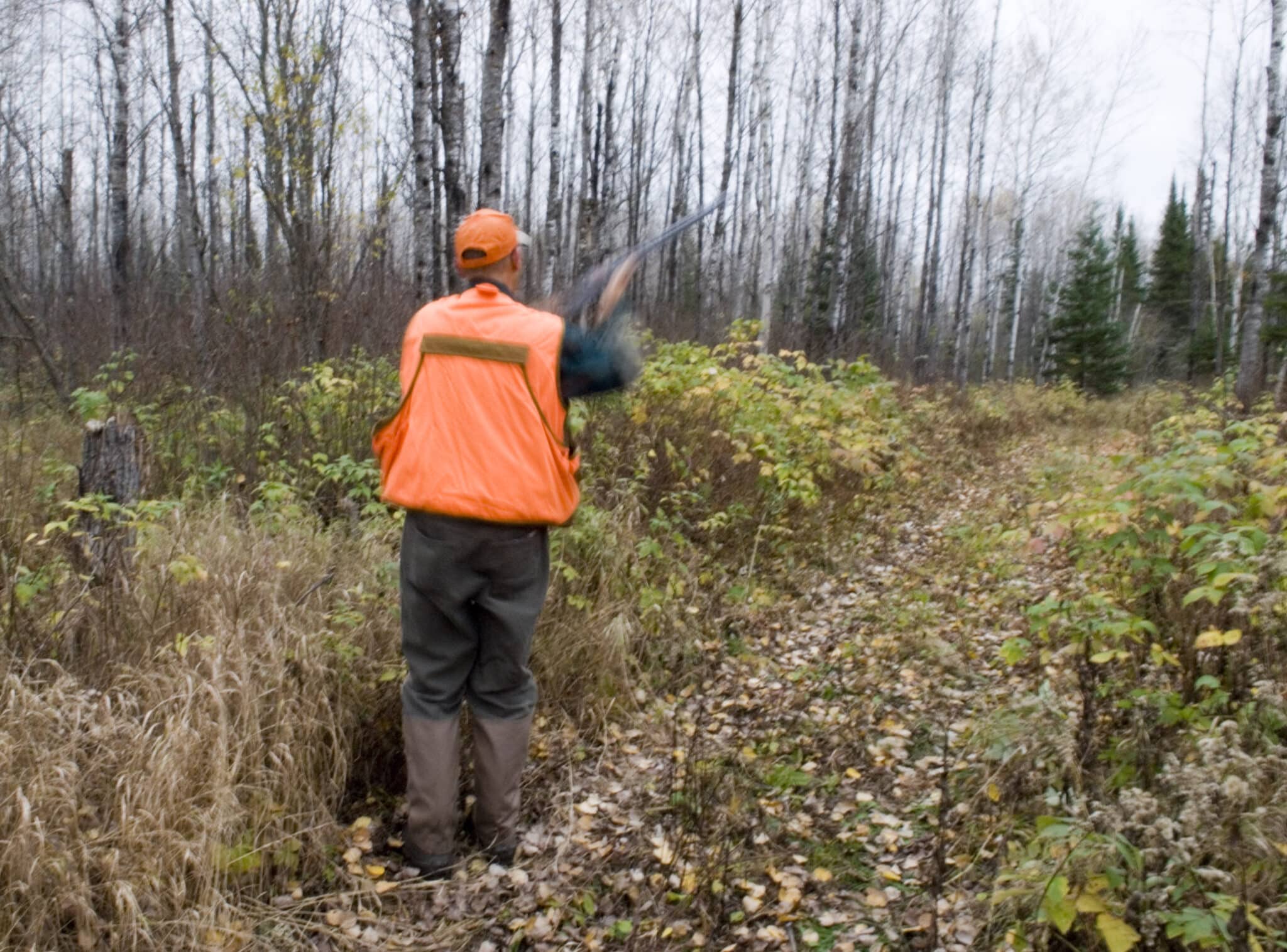 Grouse Hunting in the Grand Rapids, MN Area Visit Grand Rapids