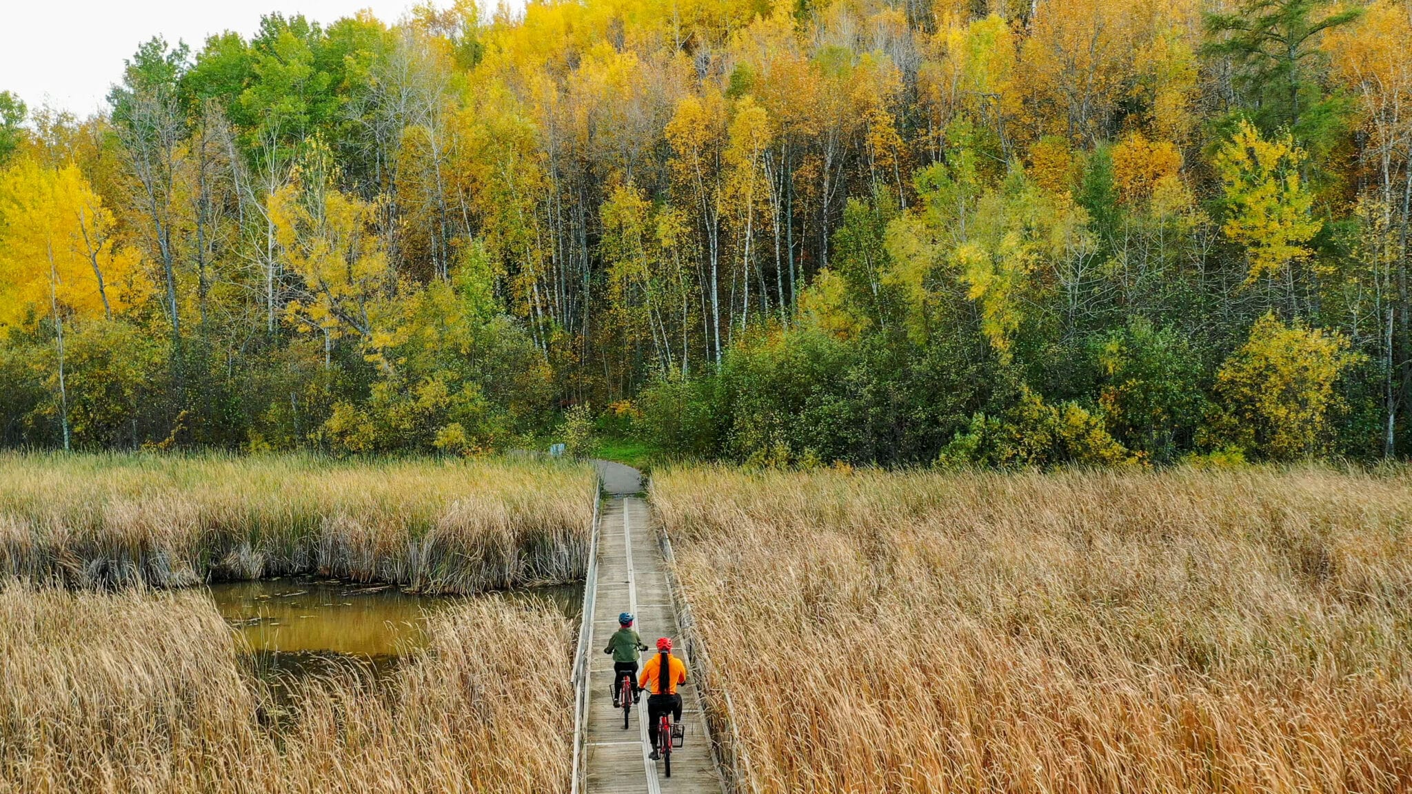 top-12-things-to-do-this-fall-in-grand-rapids-mn