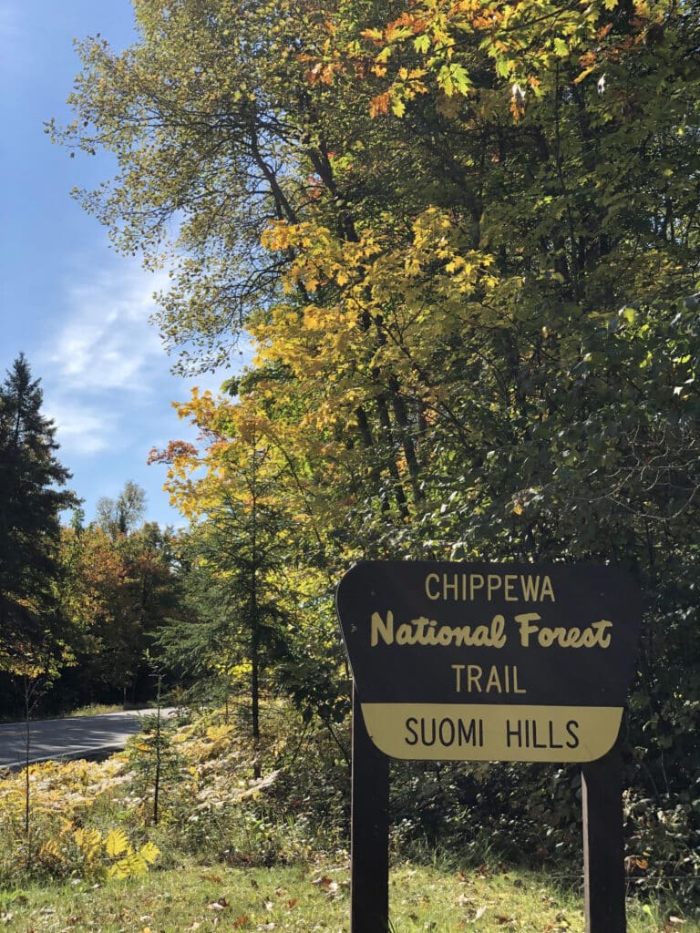 fall fun for everyone