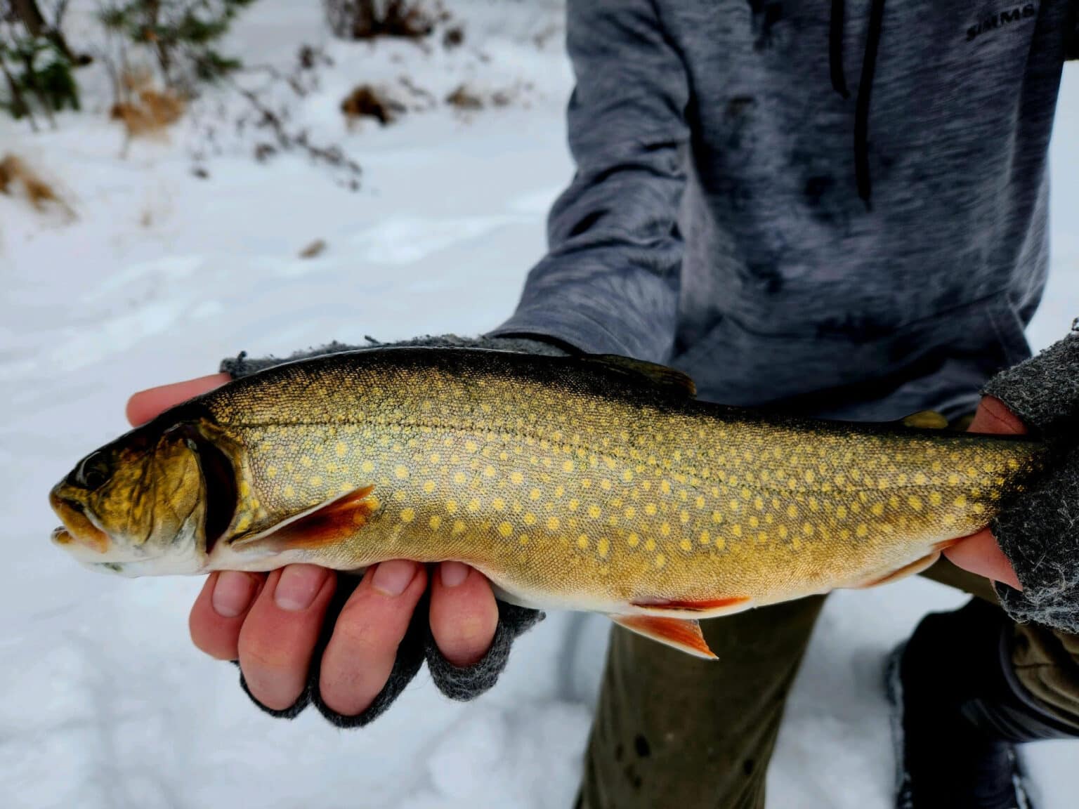 Grand Rapids MN Ice Fishing Report 11024