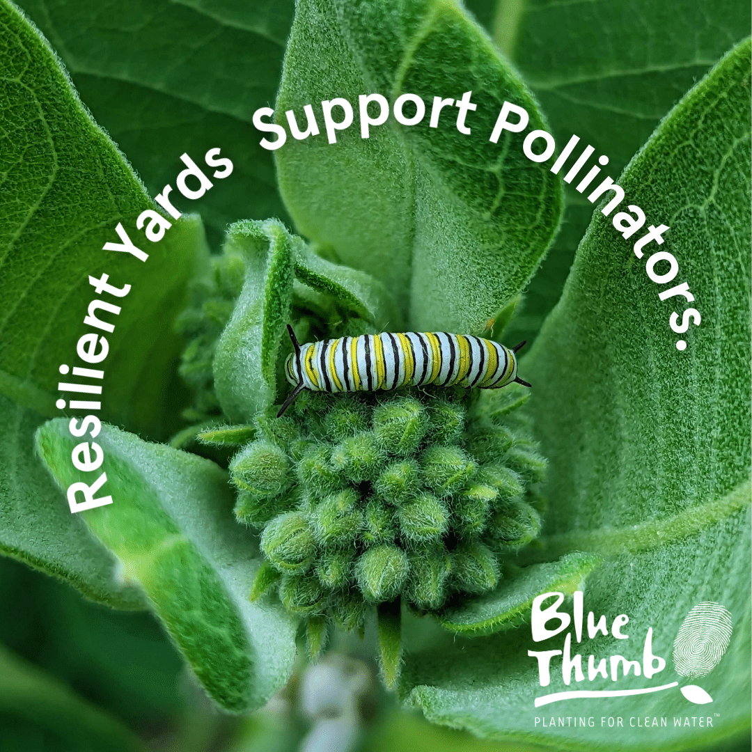 2024 Blue Thumb Workshops Image 1