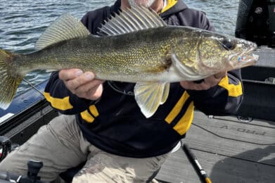 Grand Rapids MN Fishing Report