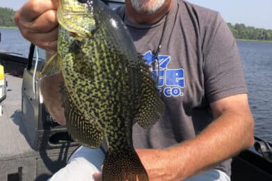 grand rapids mn fishing report
