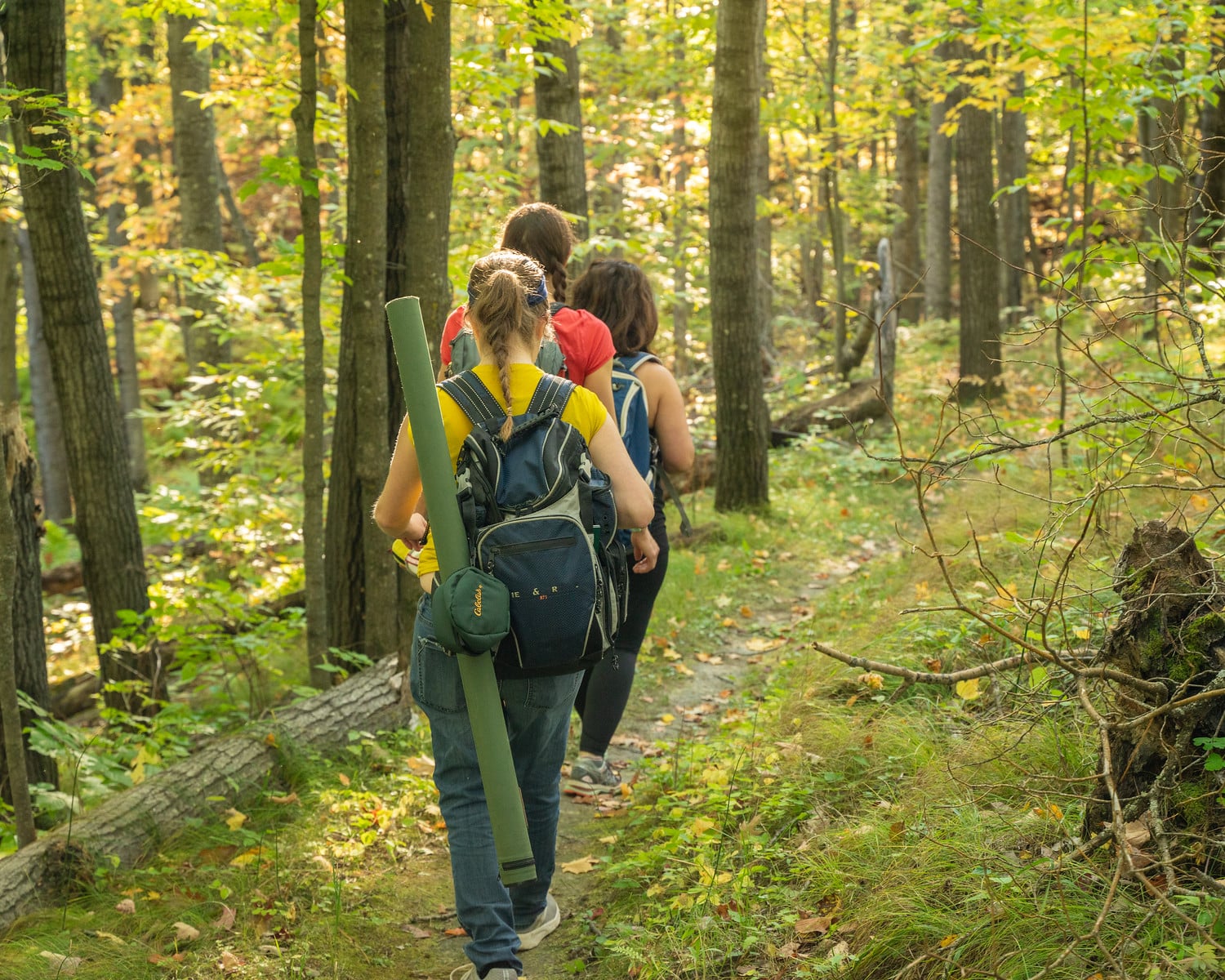 Fall hiking