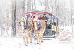 Christmas in the Logging Camp2