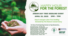 happy hour for the forest