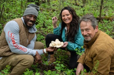 spring foraging in grand rapids