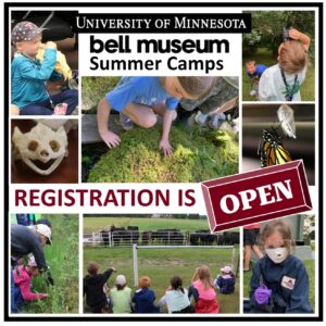 Visit Grand Rapids wk 1