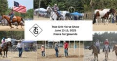 true grit horse show