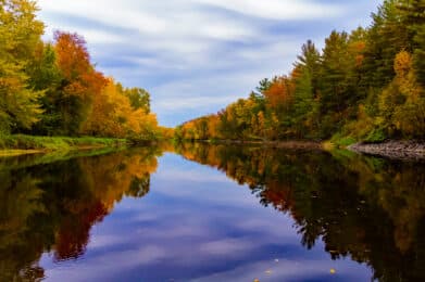 Fall Leaves and Cool Leaves Camping