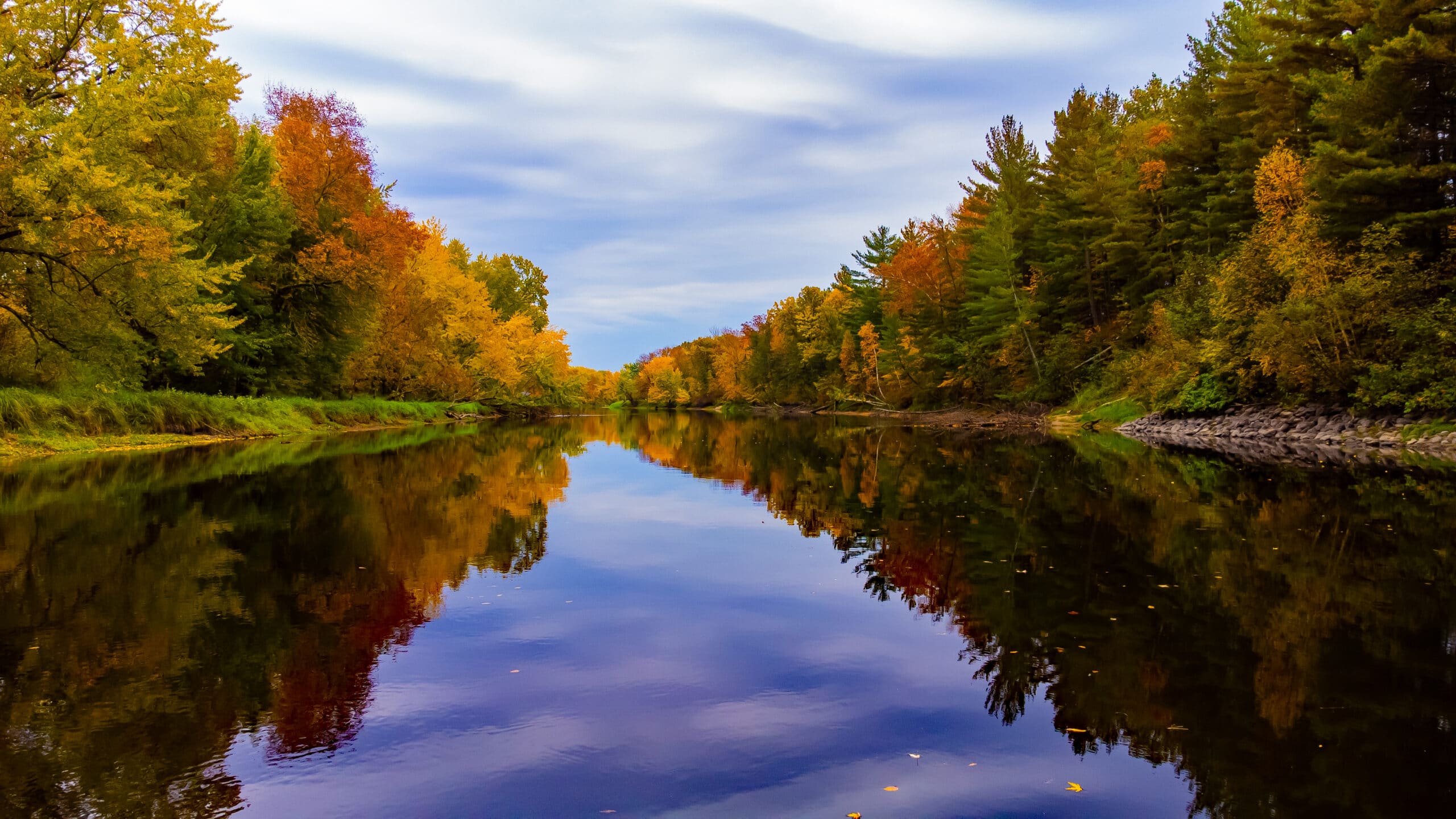 Fall Leaves and Cool Leaves Camping