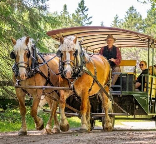 26 FHC LateFallHorseRides Calendar