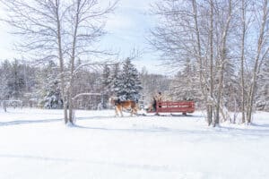 rent a cozy minnesota cabin