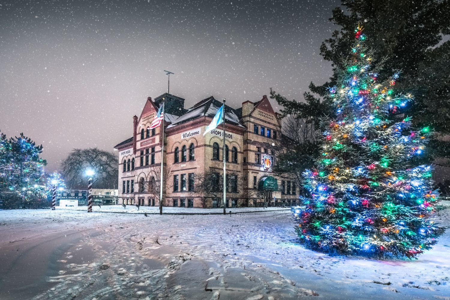 OCS Christmas Lights Resized