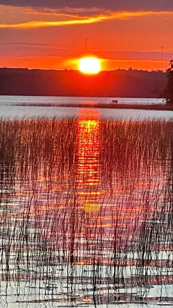 trout lake campground