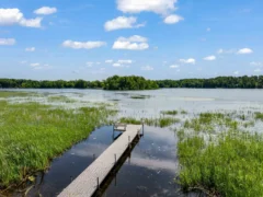 DJI 20250711112439 0251 D Edit 1