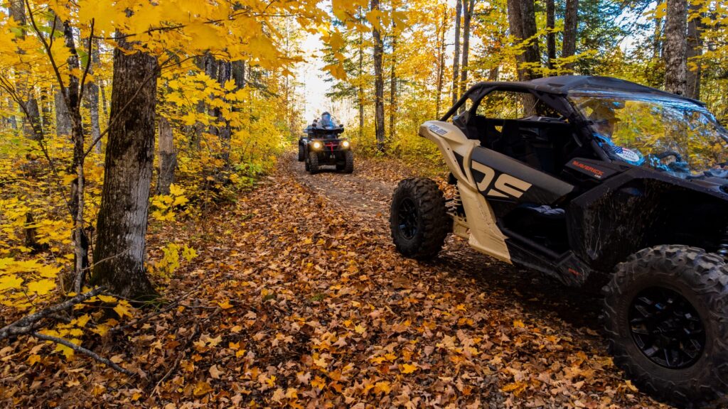 north woods autumn to winter