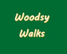 Woodsy Walks at Tioga Rec