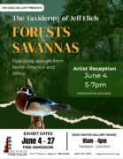 Forest Savanna
