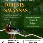 Forest Savanna