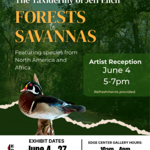 Forest Savanna
