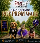 Pet Prom Walk