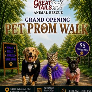 Pet Prom Walk