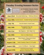 Tuesday Evening Summer Series