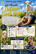 Goat Yoga