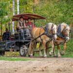 27 FHC HorseTourFall Calendar