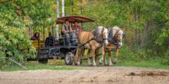 27 FHC HorseTourFall Calendar