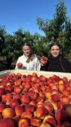 The Fruit Truck