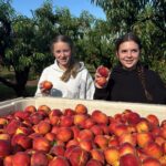 The Fruit Truck