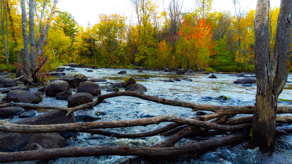 fall leaves and scenic byways