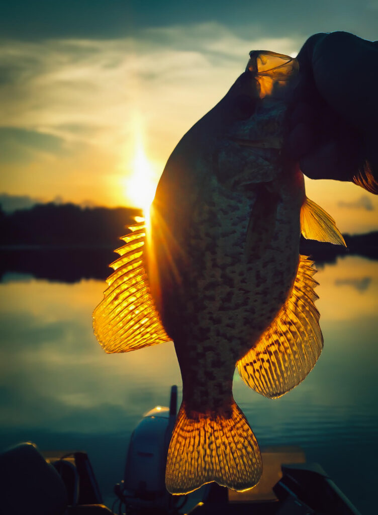 fishing report