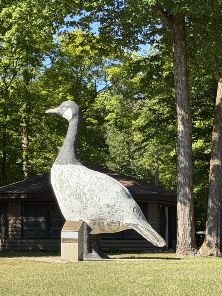 Goose in Squaw Lake